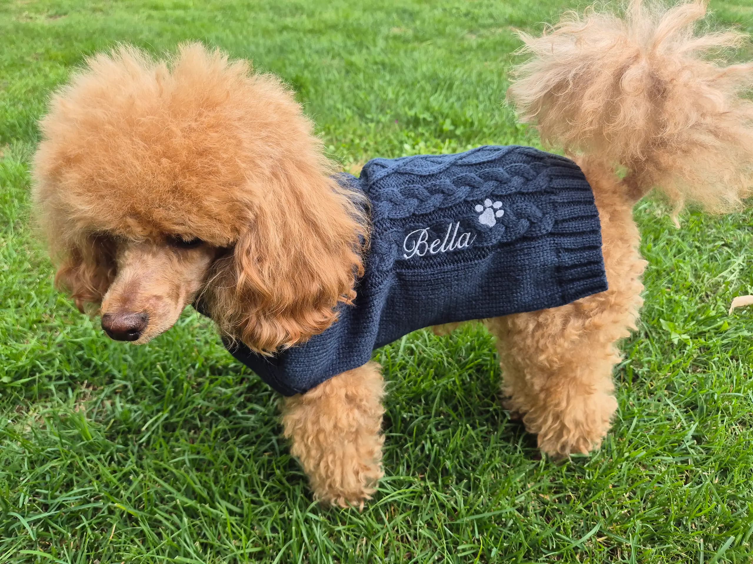 Broderie personnalisée Bella — création unique sur textile par BrodeArt Suisse